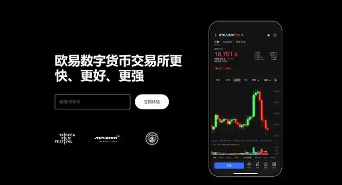 topay钱包平台平台展示图
